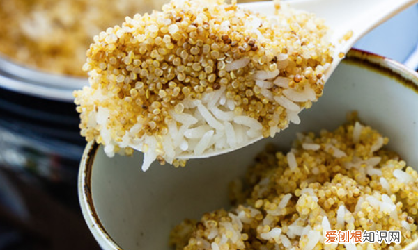 藜麦饭的做法