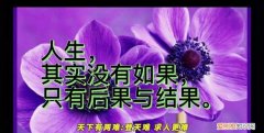 后果和结果的区别