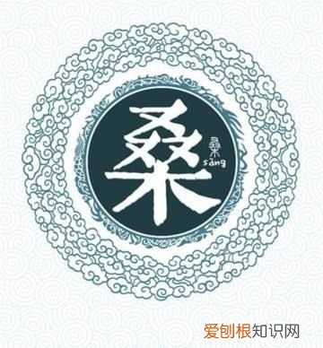 桑姓起源，桑姓的来源