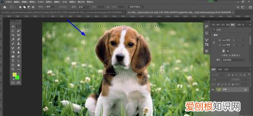 ps怎么反选选区，ps上可以怎样反选
