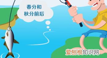 野钓肥水怎么钓鲫鱼，肥水钓鲫鱼用什么饵料最好