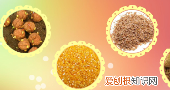 野钓肥水怎么钓鲫鱼，肥水钓鲫鱼用什么饵料最好