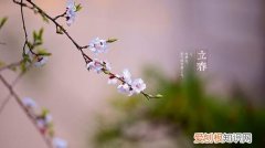 春天有几个节气，动物世界里说春天是交配的季节夏天是产卵的季节冬天是养精的季节那么秋