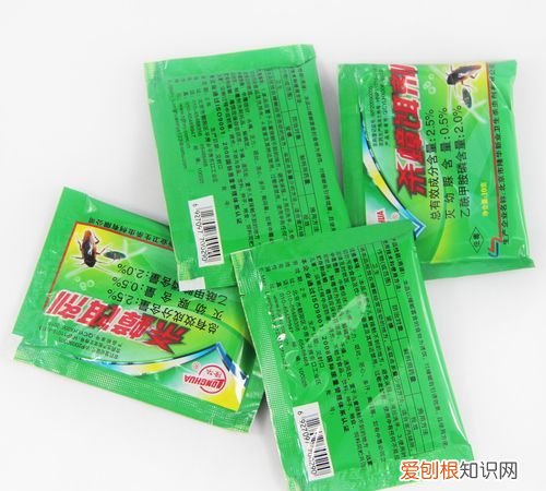 除蟑螂的药，家里蟑螂越来越多哪里有卖好用的蟑螂药