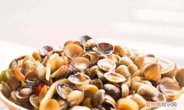 蚶蛤蛏蚬区别,什么贝类海鲜好吃