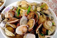 蚶蛤蛏蚬区别,什么贝类海鲜好吃