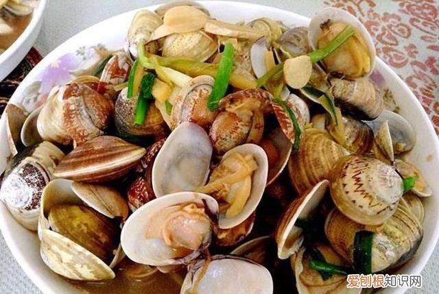 蚶蛤蛏蚬区别,什么贝类海鲜好吃