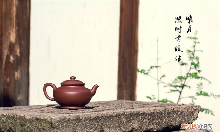 材峻的寓意，子峻名字的寓意