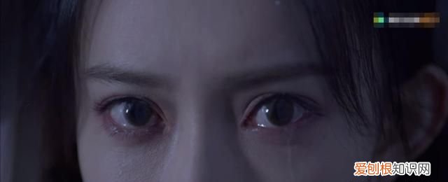 说英雄就是英雄白愁飞背叛了吗