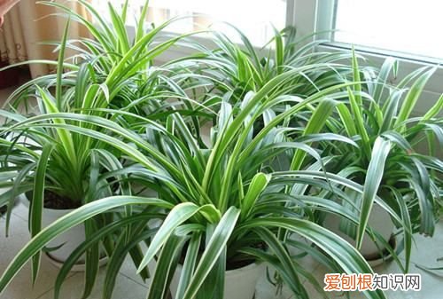 刚装修的房子多久能住，新房装修后多久可以入住