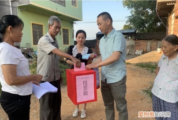 选票过半是怎么算