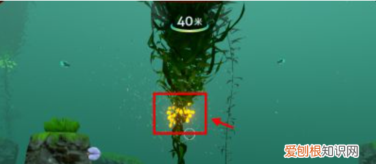 深海迷航硅胶怎么获得，dnf深海迷航胸甲完美自定义