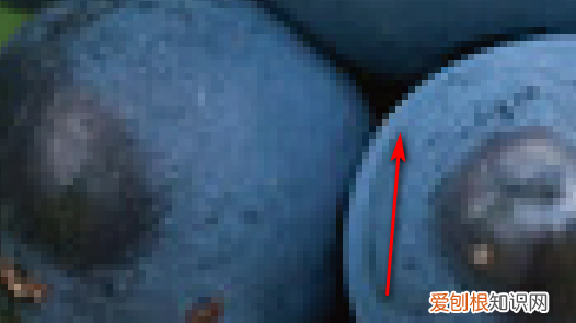 ai如何把转成矢量图，ai中如何将位图转化为矢量图