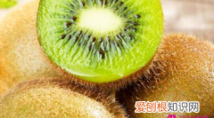 猕猴桃保质期，猕猴桃不长枝条怎么解决