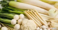 白色的食物有哪些种类