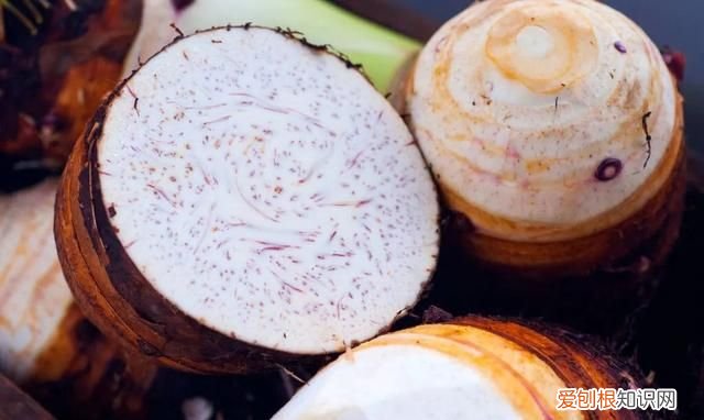 芋头的健脾吃法,芋头养胃的做法大全