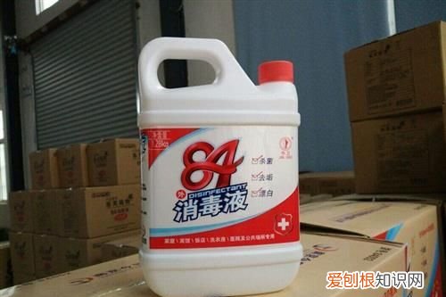84消毒液对鱼的影响,84消毒液对影响金鱼