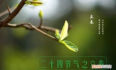 为什么立春后才是第二年开始，春雨惊春清谷天第二个春指什么节气