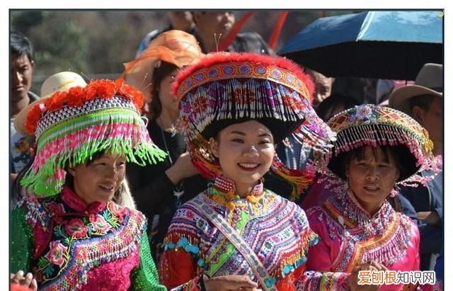 云南什么族最多，云南红河州什么民族最多