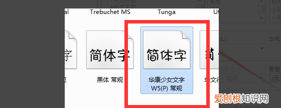 怎么安装WPS字体,wps如何增加字体