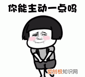 电饼铛能做水煎包子吗