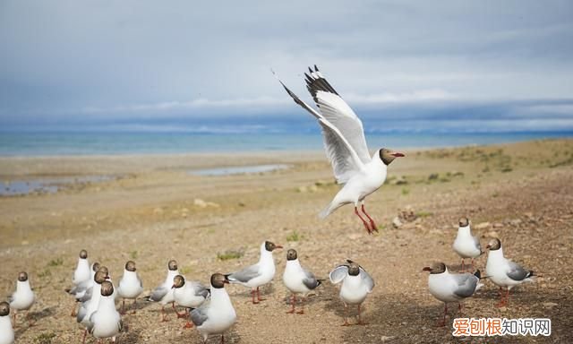 纳木错齐名的三大圣湖 西藏三大圣湖之一纳木错无滤镜
