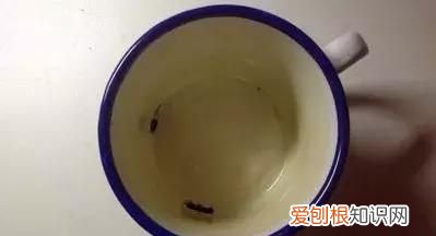 茶垢为什么有重金属 茶垢导致重金属中毒