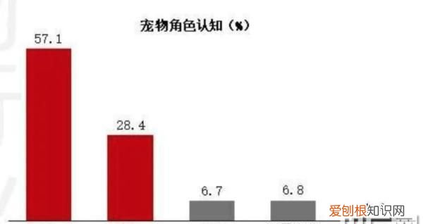 揭秘宠物墓地缺乏规范,宠物墓地在哪些地方有