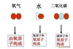 氧气由什么构成，氧气二氧化碳水等都是有什么构成的