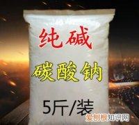 纯碱是不是碱类，古代的碱是如何提炼的