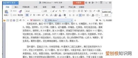 word怎么删除空白页，怎样删除Word里的空白页