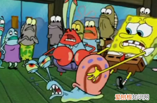 小蜗替代海绵宝宝是第几集,小蜗代替海绵宝宝上班是哪一集
