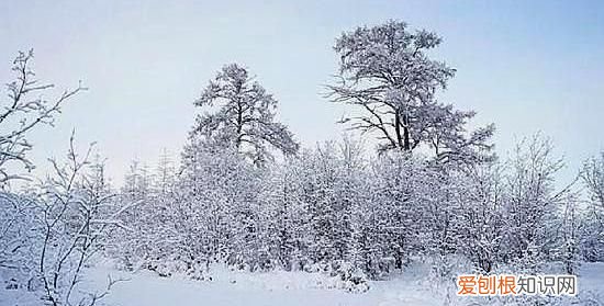 冬天的风为什么叫朔风