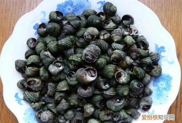 大连十大特色美食,大连美食小吃推荐