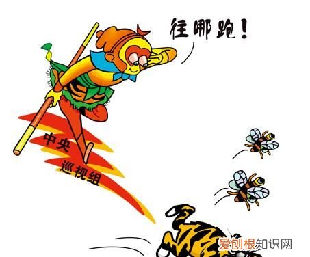 老虎头上打苍蝇代表什么，潮汕人说的苍蝇虎是什么