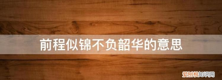 时光荏苒不负韶华什么意思，韶华是什么意思不负韶华是什么意思