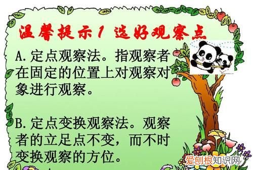 观察事物的方法有哪些