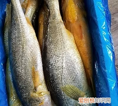 油泼黄鱼怎么做好吃,什么鱼做油泼鱼好吃