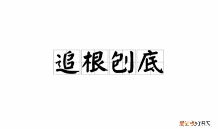 刨根问底的意思