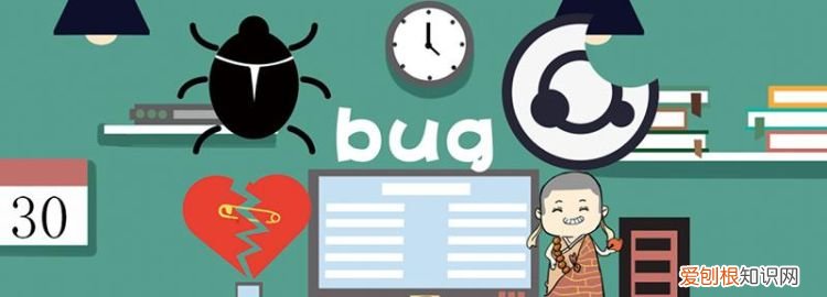 bug什么意思网络用语，大bug什么意思网络用语