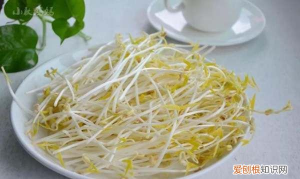 发绿豆芽的方法,绿豆芽怎么发又粗又快