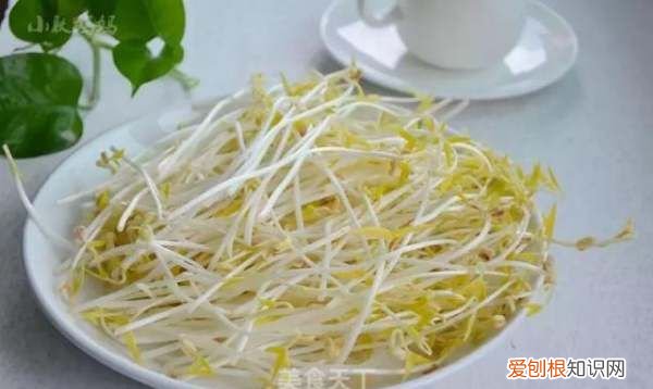 发绿豆芽的方法,绿豆芽怎么发又粗又快