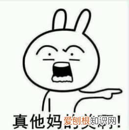 当下小花们谁的演技更胜一筹