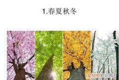 四季怎么来的，春夏秋冬怎么形成的