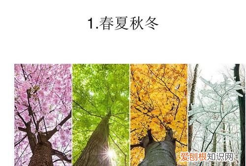 四季怎么来的，春夏秋冬怎么形成的