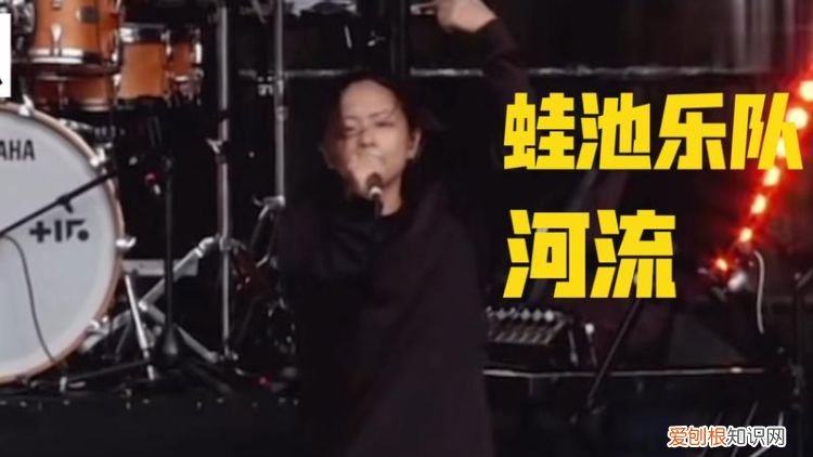 蛙池乐队是什么风格