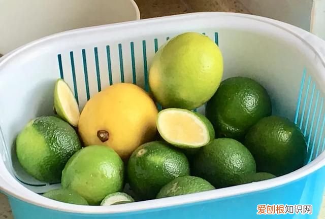 不用冰箱如何保存柠檬，柠檬茶不放冰箱如何保存