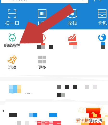 蚂蚁森林怎么给好友浇水,蚂蚁森林该怎么样才可以浇水