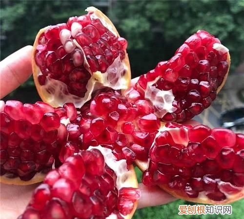 石榴具有怎样的品质，桃子石榴苹果有什么品质