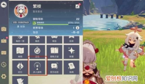 原神帧率什么意思，原神多人游戏队伍变更是什么意思